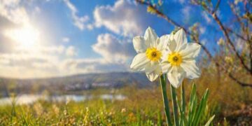 Потепление отменяется: синоптик Диденко предупредила о заморозках и опасности на улицах