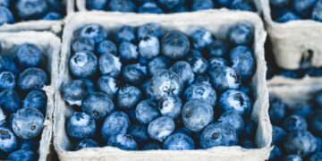 Экспорт агропродукции и ВТО: Устенко оценил влияние на цены в Украине