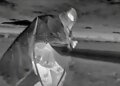 СБУ представила результаты работы FPV-дронов за неделю. ВИДЕО