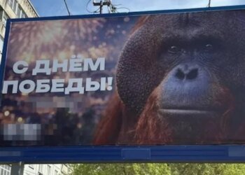 В Новосибирске на баннере к 9 мая разместили орангутана. ФОТО