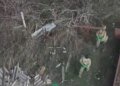 Как военные освободили из плена солдатов с помощью дрона. ВИДЕО