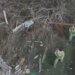Как военные освободили из плена солдатов с помощью дрона. ВИДЕО