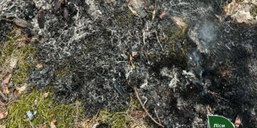 Внаслідок атаки рф через уламки дрона на Житомирщині сталася лісова пожежа – "Ліси України"