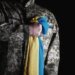 В Україні оновили військовий ритуал прощання – про що йдеться