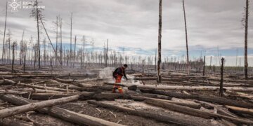 Рятувальники понад добу намагаються загасити пожежу в Зоні відчуження, вогнем пройдено понад 80 га