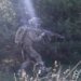 На фронті відбулось понад 60 боїв, ворог активно діє на Покровському та Гуляйпільському напрямках – Генштаб