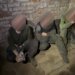 Поблизу Вовчанська прикордонники "Форпосту" взяли в полон трьох російських окупантів