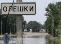 Окуповані Олешки опинилися на межі гуманітарної катастрофи через нестачу води та їжі