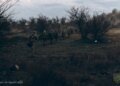 Ворог здійснив понад 50 атак на фронті, найактивніше діє на Гуляйпільському та Покровському напрямках – Генштаб
