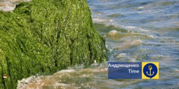 Азовське море у травні аномально зацвіло та почало викидати водорості на узбережжя – Андрющенко
