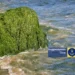 Азовське море у травні аномально зацвіло та почало викидати водорості на узбережжя – Андрющенко
