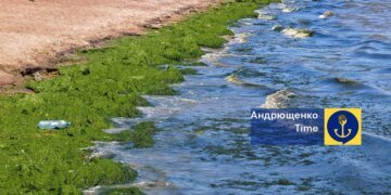 Азовське море у травні аномально зацвіло та почало викидати водорості на узбережжя – Андрющенко