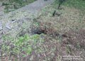 Удар рф по дитячому майданчику в Херсоні – злочин потрапив на відео