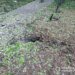 Удар рф по дитячому майданчику в Херсоні – злочин потрапив на відео