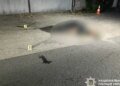 В Днепре задержанный бросил гранату в полицейских: четверо ранены, он сам погиб