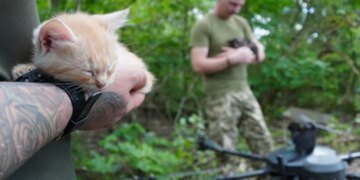 Спецоперація Мяу-Мяу: українські військові за допомогою "Вампіра" евакуювали котячу родину з передової
