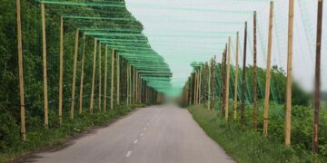 У Волинській області на певних ділянках доріг планують встановити антидронові сітки