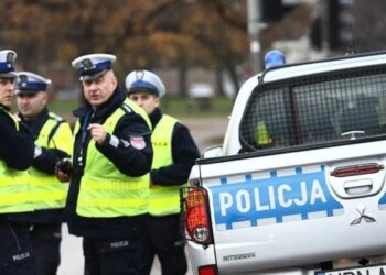 Жуткое наследство судмедэксперта: на месте фундамента нового ЖК экскаватор откопал тринадцать останков