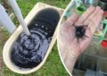 Экологический кошмар на болотах: после удара СБУ  в Рыбинске пошел нефтяной дождь