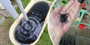 Экологический кошмар на болотах: после удара СБУ в Рыбинске пошел нефтяной дождь