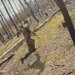 Армия мародеров и алкоголиков: Z-канал неожиданно вывалил всю правду о ситуации в путинской армии