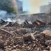 росіяни вдарили ракетами по Білопіллю, є постраждалі