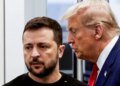 Трамп призвал Зеленского действовать «смелее» в отношении России