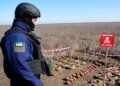 Після загибелі двох співробітників на Херсонщині NPA призупинила розмінування в Україні