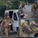 Женщина упала на асфальт и кричала от бессилия: ВИДЕО жёсткого задержания ТЦК в Одессе шокировало украинцев