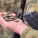 Половина з 63 боїв на фронті припала на Покровський та Слов'янський напрямки