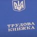 Трудовые книжки и дедлайн 10 июня: в ПФУ успокоили украинцев насчет стажа