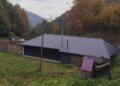 В Закарпатье ГБР разоблачило лесничего, который скрыл в декларации имущество на более чем 9,6 млн грн