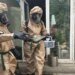 Нарколаборатория в Киевской области и миллионные прибыли: разоблачена масштабная наркосеть