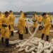 У Києві другий тиждень триває ліквідація наслідків забруднення озера Кирилівське після російського обстрілу
