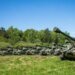 В Україні освоїли ремонт двигунів для САУ M109 за стандартами НАТО