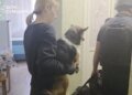 В Сумской области эвакуационная группа «Феникс» вывезла женщину с домашними животными из зоны обстрелов. ВИДЕО