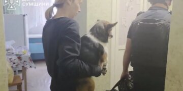 В Сумской области эвакуационная группа «Феникс» вывезла женщину с домашними животными из зоны обстрелов. ВИДЕО