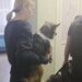 В Сумской области эвакуационная группа «Феникс» вывезла женщину с домашними животными из зоны обстрелов. ВИДЕО