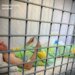 Організатор заходу зі збройовою виставкою під Києвом, де від удару рф загинуло 10 людей, отримав підозру – Генпрокурор