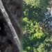 Пограничники уничтожили артиллерийскую пушку и укрытия россиян. ВИДЕО