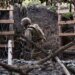 рф за добу втратила майже 1,5 тисячі військових і понад 1,800 безпілотників – Генштаб