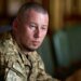 Особливі варіанти застосування ракетних систем: Паліса координуватиме роботу Міноборони з США та українськими виробниками