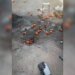 росія атакувала дроном людей на ринку на Сумщині: 10 постраждалих