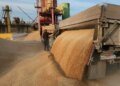 Аграрії на окупованих територіях не можуть вивезти зерно через відмову перевізників – ЦНС