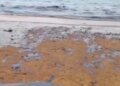 В районе Ормуза произошла масштабная утечка нефти — существует угроза экологической катастрофы