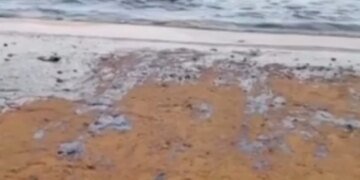 В районе Ормуза произошла масштабная утечка нефти — существует угроза экологической катастрофы