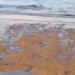 В районе Ормуза произошла масштабная утечка нефти — существует угроза экологической катастрофы