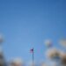 США вимагають від країн обрати сторону в гонці ШІ з Китаєм – Reuters