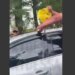 В  Курортном переулке Одессы мужчину в автомобиле заблокировали и залили газом. ВИДЕО