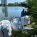 У Києві триває очищення на озері Кирилівське після атак рф – забруднення зменшили у десятки разів